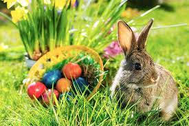 Potraga za pisanicama